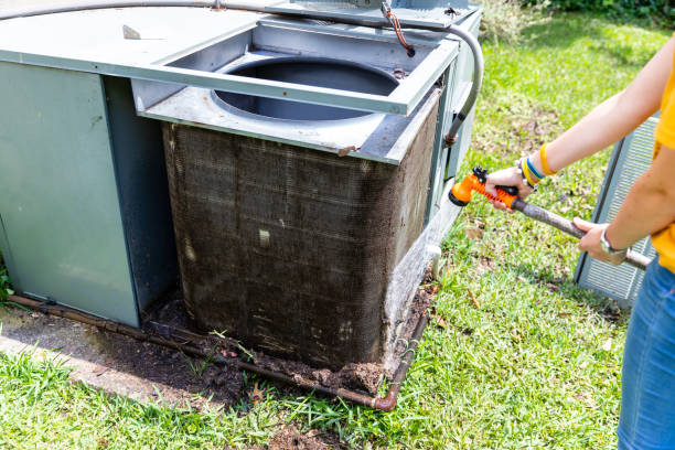 Air Duct Mold Removal